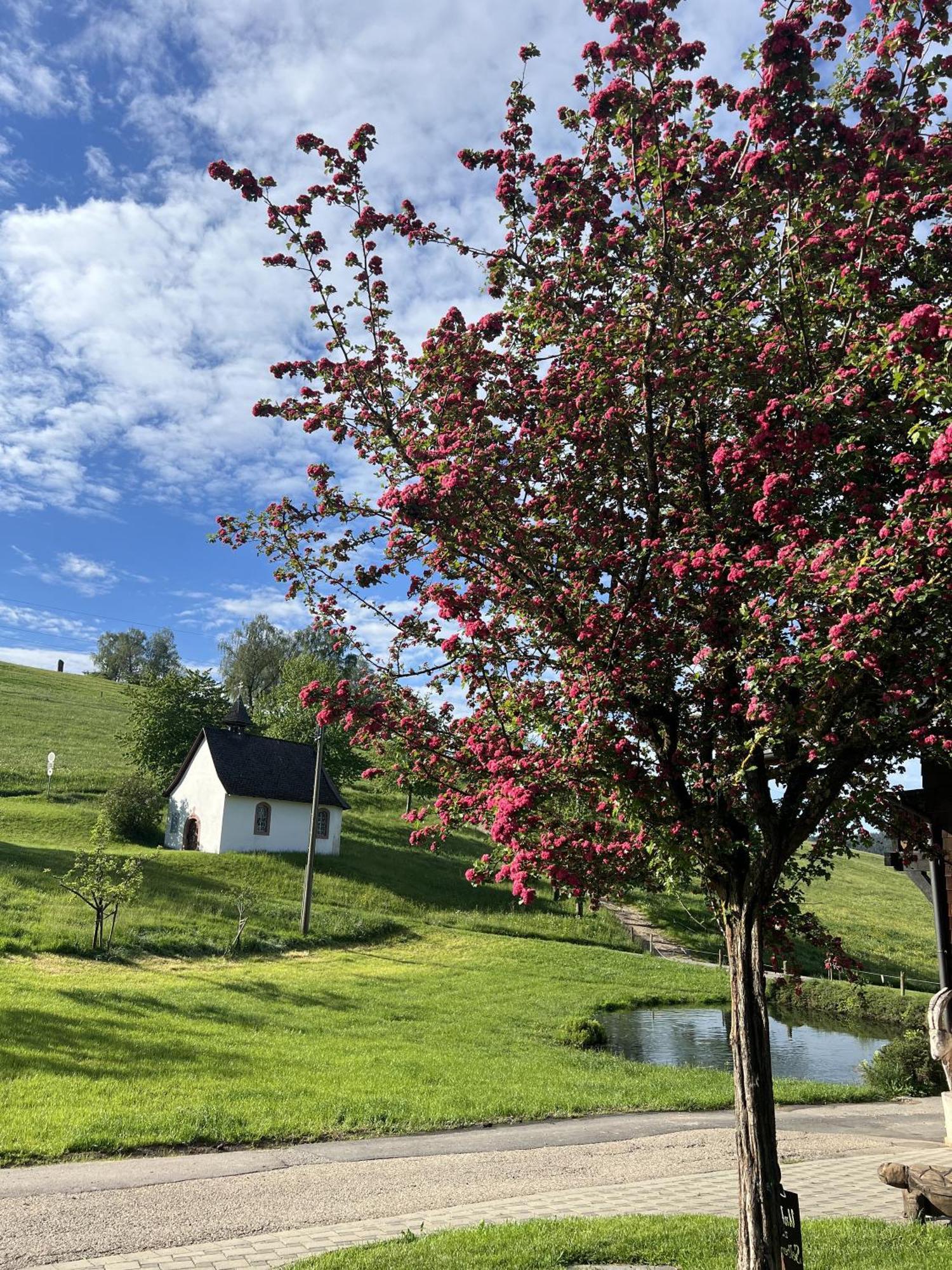 Kapellenhof Ferienwohnungen Triberg im Schwarzwald Exterior foto